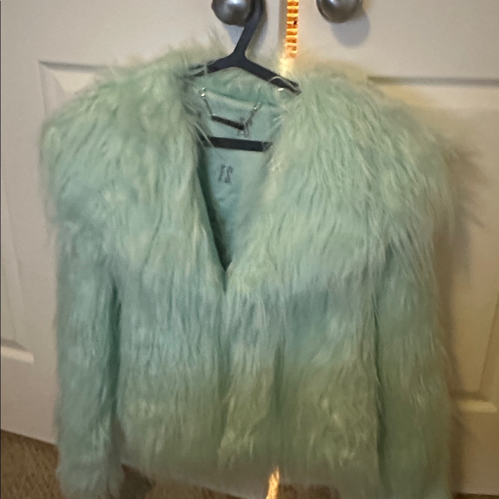 Taylor Swift Life of a Showgirl Mint Faux Fur Coat XL/2XL w Garment Bag NWT - Picture 3 of 6